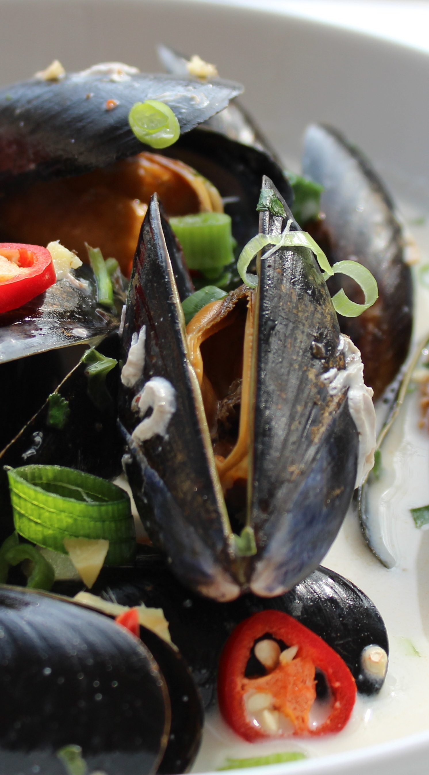 Thai Mussels Slow The Cook Down