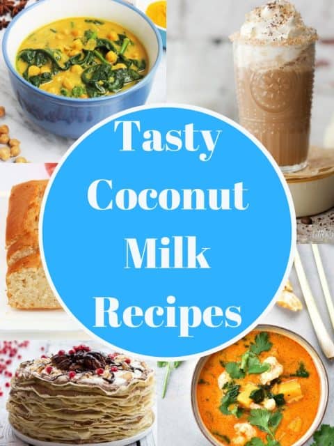 Pinterest image. Coconut milk recipes with text overlay
