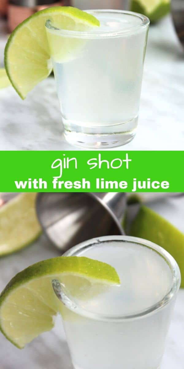 Gin Shots With Lime Slow The Cook Down