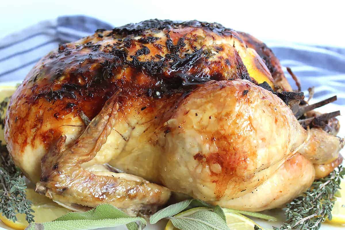 Slow roasted chicken on top of lemon and fresh herbs