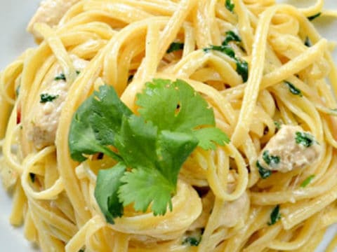 Jalapeno chicken alfredo on a white plate