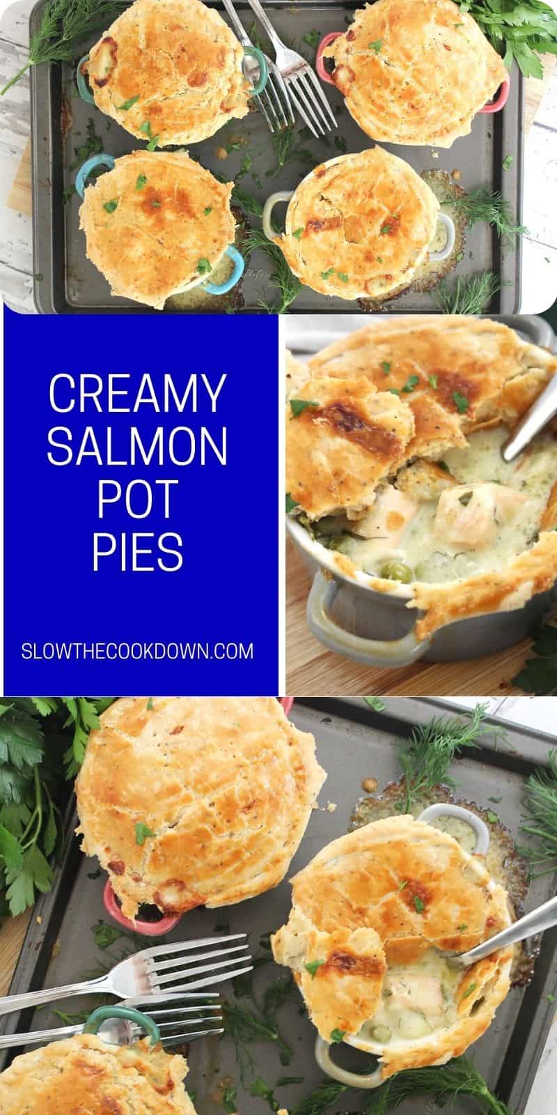 Creamy Salmon Pot Pies Slow The Cook Down