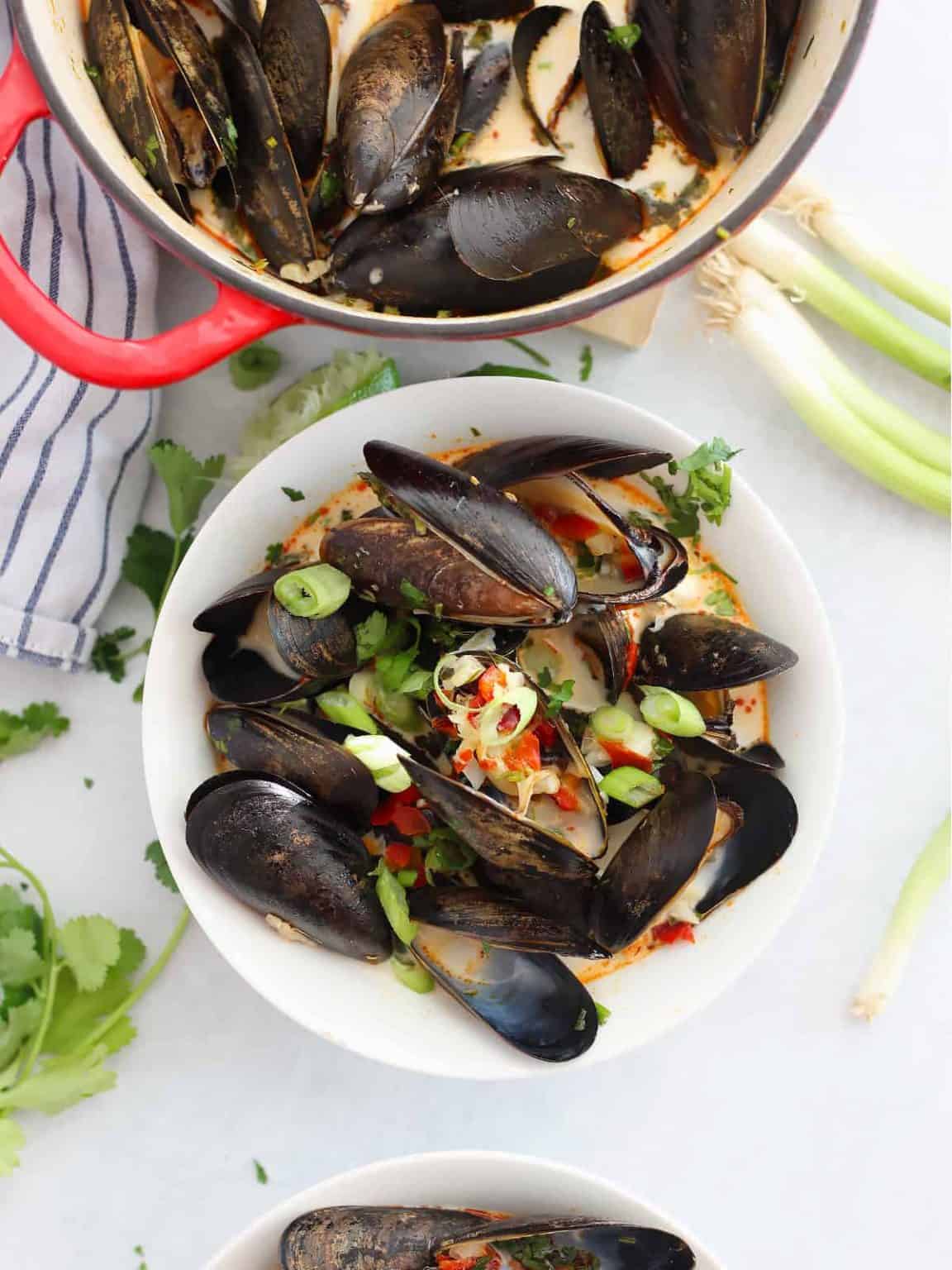 Chilli Mussels in Coconut Milk Slow The Cook Down