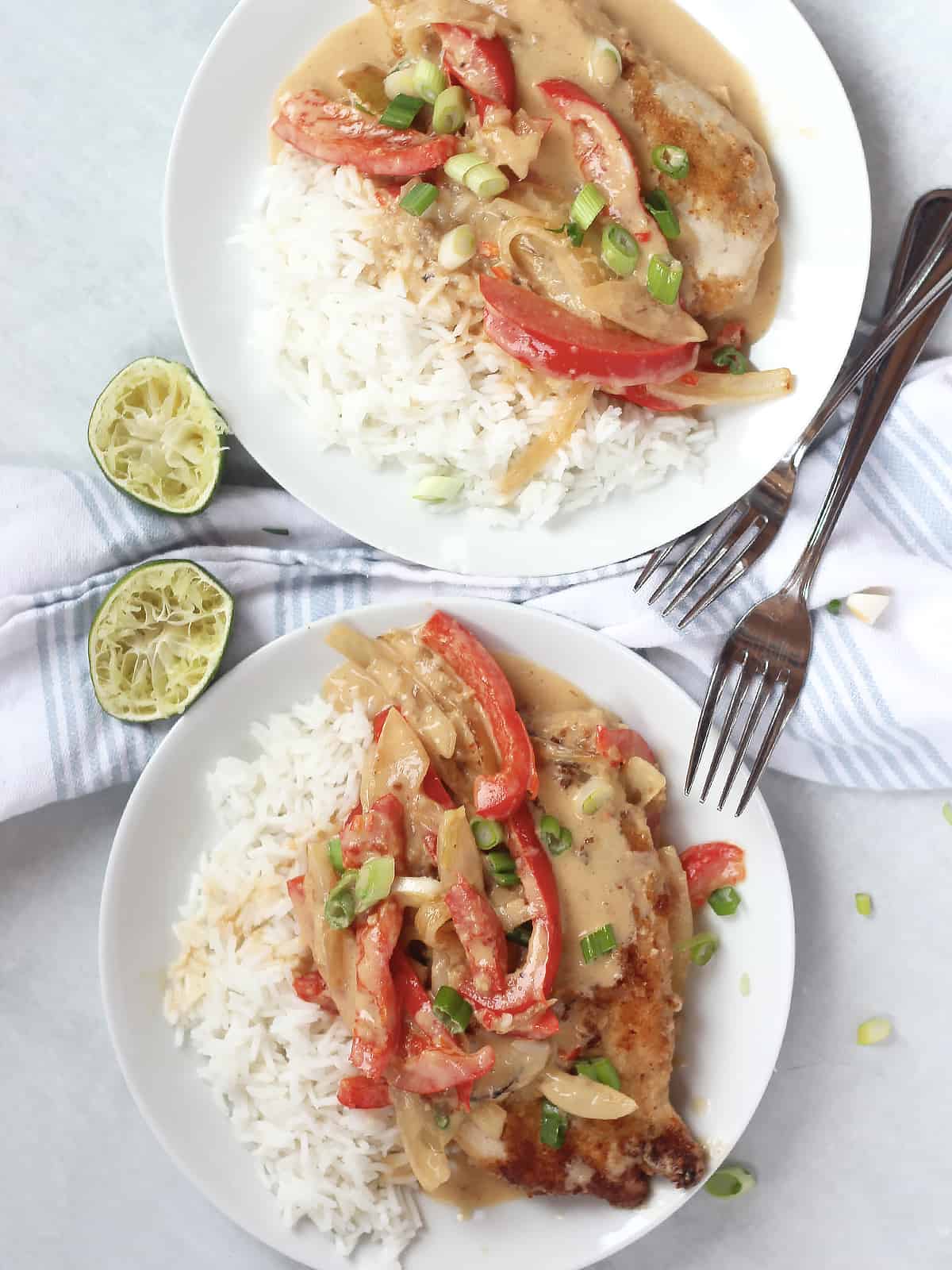 Creamy chicken curry served in two plates with white rice.