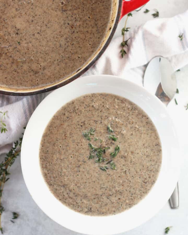 Soup in a red stock pot with some served into a white bowl.