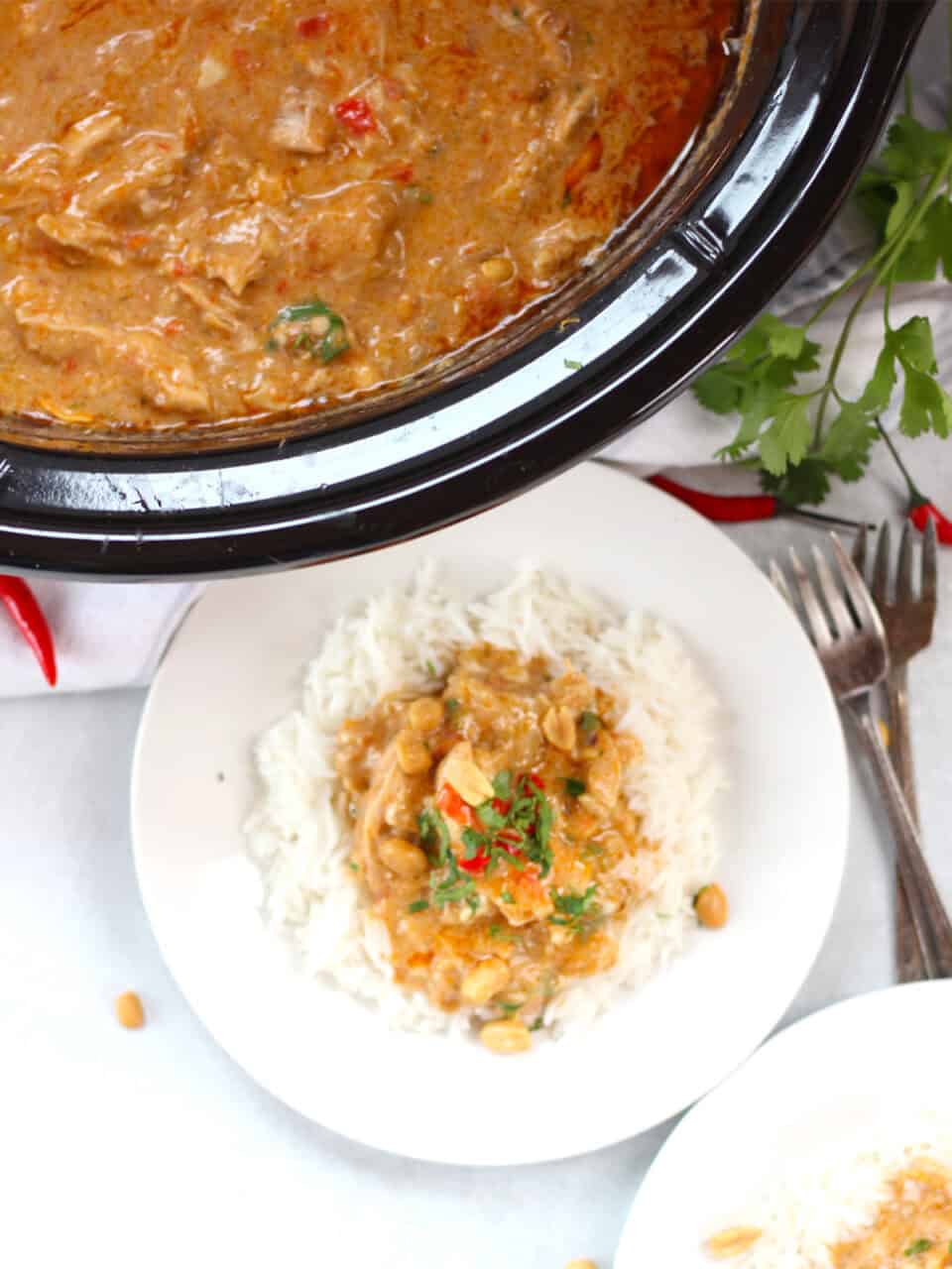Curry served with rice on two plates.